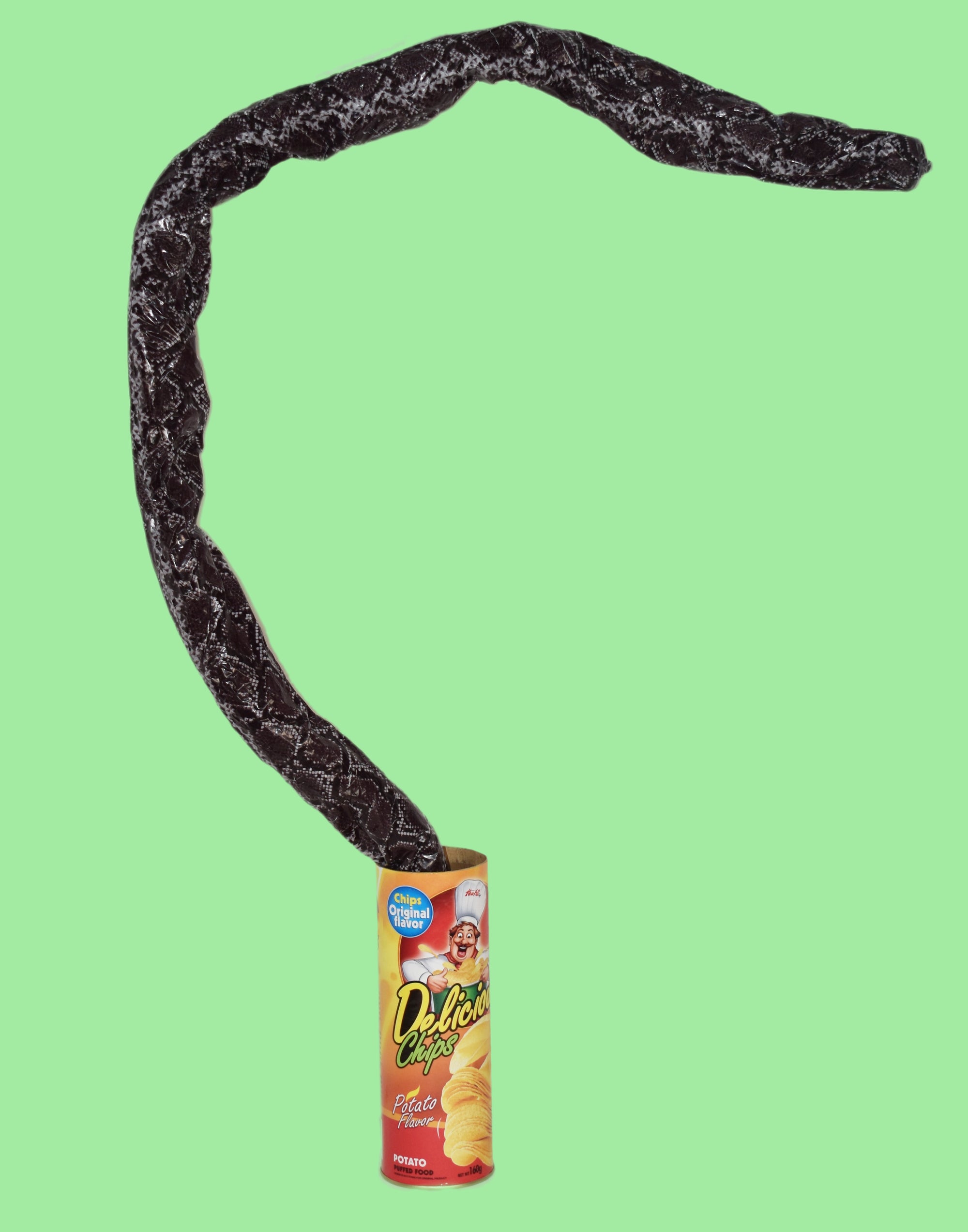 SNAKE IN A CAN